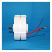 VBSNKLOI Wind Turbine Generator, S Type 100W 12V/24V Permanent Magnet AC Generator Rare Earth Wind Water Power Alternator for DIY Off-Grid System