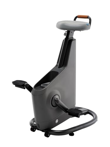 LifeSpan Fitness Ampera Office Bike Space Gray