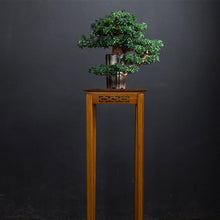 YXIANG56Q Fake Plants Indoor Fake Tree Potted Plant Ornaments Desktop Jewelry Entrance Decoration Simulation Tree Decoration High-Grade Artificial Bonsai Bonsai Tree