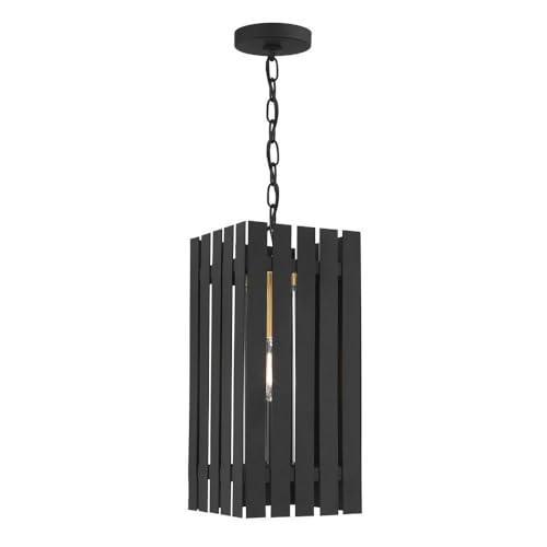 Bailey Street Home Industrial Outdoor Pendant Lantern Black/Satin Brass 8" x 18