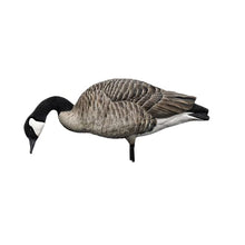 Avian-X AXP Honkers Fusion Pack Full Body Canada Goose Decoys Multicolor
