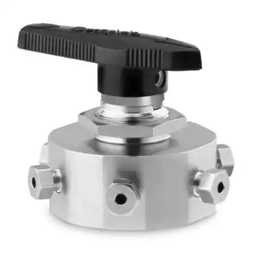 SS-43Y6FS2 6-Way Ball Valve 0.08 Cv Within 1/8 in