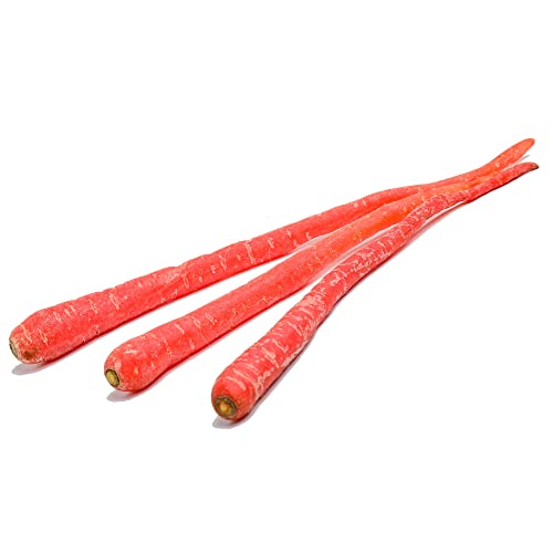 Kitazawa Seed Co Carrot Seeds Samurai Red 1 Lb ~400000 Seeds Non-GMO