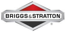 Briggs and Stratton 314441GS Pump - Pressure Washer