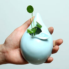 Hanging Planter Wall Hanging Planter Ceramic Plants Flowerpot Decorative Flower Display Vase Succulent Pots for Indoor Plants Hanging Flower Pots Suitable for Indoor and Outdoor Plants ( Col (1 )