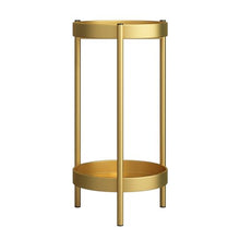 2 Tier Stand for Indoor Outdoor, Plant Stand Indoor Outdoor Metal Plant Rack Organizer Plant Rack,Display Shelf Racks for Home Garden Office