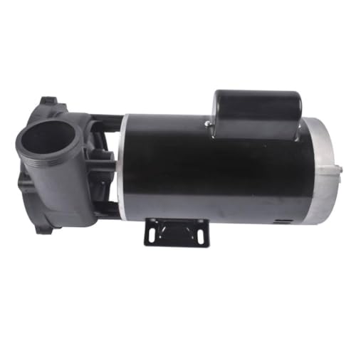 Two-Speed Spa And Hot Tub Pump AP03 56-Frame 5 230V 3722021-1D