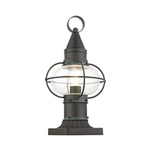 Livex Lighting 26902-61 Newburyport Light Fixture, Charcoal