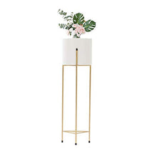 GHJUMKFDF Flower standShelf Iron Art Flower Stand Plant Stand Nordic Modern Concise Living Room Indoor Balcony It has T Colors Size: with a Length of 25.5 inches