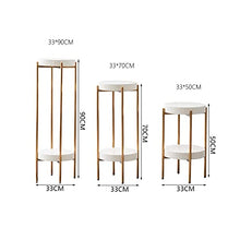 OJKJGYTF Plant Stands,Flower Stand,Living Room Rear Golden Stainless Steel Flower Shelf Indoor Household Shelfnishings/White/70Cm