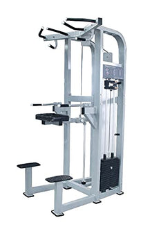 French Fitness Shasta Assisted Chin Dip (New)