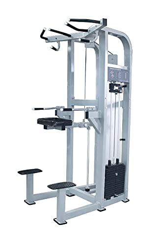 French Fitness Shasta Assisted Chin Dip (New)