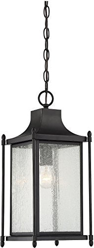 Savoy House 5-3455-BK Dunnmore Modern Farmhouse Clear Glass Outdoor Hanging Lantern, 1-Light 75 Watt, 19" H x 8" W, Black