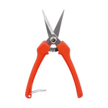 Zenport H306S Euro Style Harvest Shear Straight Blade, 2.5 Inch Stainless Steel Blades, Orange - 60 Pack