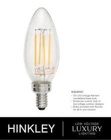 Hinkley Carson Collection Five Light 12V LED Outdoor Medium Orb Pendant Vintage Iron