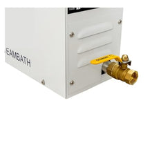 Self-draining Steam Generator Commercial Wet Steam Machine Electric Heating Steam Machine Fumigation Machine Sauna Room Equipment With Water Shortage and Overheating Protection(ST-135A1,12KW)
