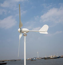 FLTXNY POWER Wind Turbine 1000W 24V Horizontal Wind Generator Kits 3 Blades with MPPT Charge Controller Free Energy
