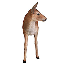 Design Toscano Spotted Deer, Forest Fawn Sculpture