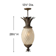 Bailey Street Home 4 Light Outdoor Hanging Lantern Bronze