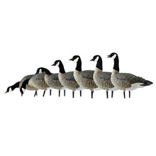 Avian-X AXF Lessers Full Body Goose Hunting Decoys 12 Pack Multicolor