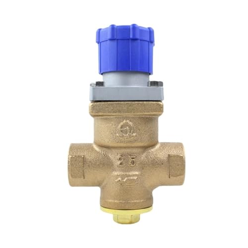Type Pressure Reducing Valve for Steam Model For high-grade steam lines RD-40(DN20)