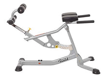 HOIST Fitness Adjustable Hyperextension Roman Chair Platinum
