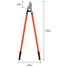 Zenport MV190 Professional Orchard and Landscape Tree Lopper 36-Inch Box of 12 Orange