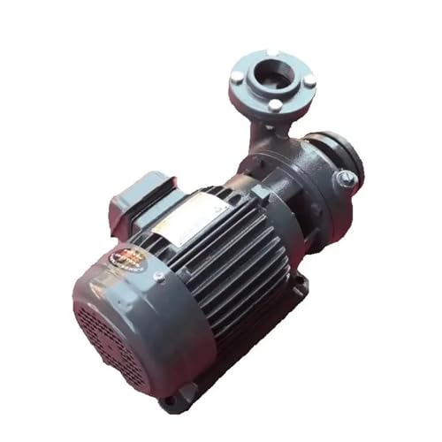 BFOYDLUJ Pump L-02 0.5HP 32MM L-03 1HP 40MM L-04 2HP 50MM L-05 3HP 65MM L-07 5HP 80MM L-09 7.5HP 10HP 100MM Pipeline Pump(Vertical L-07)