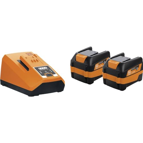 Fein 92604327010 Battery Starter Kit (with 2 x 6Ah Batteries, 1 Charger, Voltage 12 V, Tool Battery for Power Tools, Replacement Battery with USB Port)