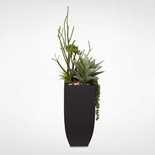Misc Botanical Succulent Variety in A Tall Black Modern Metal Planter