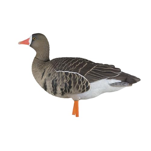 Avian-X AXP Specklebelly Decoy Fusion Pack 18 Pack