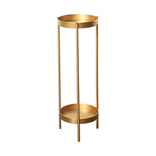 RWGOVLU Plant Stand Plant Stand 2 Tier Metal Outdoor & Indoor Potted Flower Stand Display Shelf for Home Garden Patio