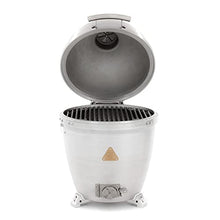 Blaze Outdoor Products 20-Inch Cast Aluminum Kamado Grill Silver