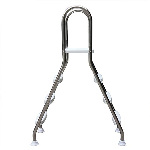 Swimming Pool Ladder, Pool Ladder Above Ground Pool with Non-Slip Removable Steps, 2-4 Steps Swimming Pool Entry and Exit System (Silver 3 Steps)