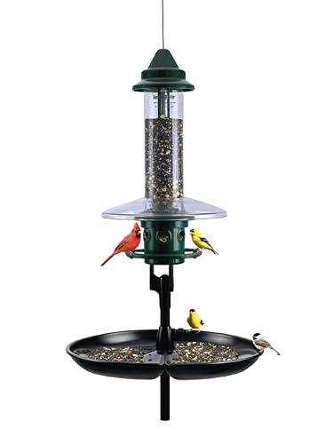 Complete Bird Feeding Station with Squirrel Buster Plus Squirrel-Proof Bird Feeder, Pole, Weather Guard & Seed Catcher Tray, Installed Height 7ft 2in