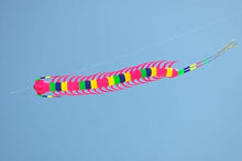 TiffyDance 40 Ft 3D Soft Inflatable Caterpillar Kite XX-Large