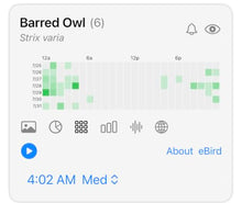 Haikubox Bird Song & Call Identifier: 24/7 backyard sound identification