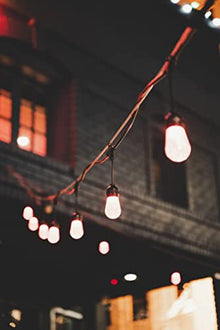 DALS Connect Pro 48 Foot Smart String Light