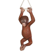 Design Toscano Pongo, the Hanging Baby Orangutan Statue