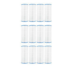 Doheny's Pool Spa Filter 12-Pack for Pentair Clean & Clear 100 - Pleatco PAP100, Unicel C-9410, Filbur FC-0686
