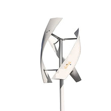 2000w Wind Turbine Generator 48v Alternative Energy Generator 220v AC Output Household Complete Kit with Controller Inverter - Onshore Wind(MPPT Controller,White_24V_1000W)