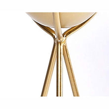 MIIKHI Plant Stands,I Flower Stand,Indoor Balcony Multi Storey Flower Pot Shelves Living Room Shelfnishings/Large