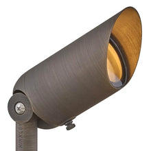 Hinkley Hardy Island 12V MR16 Landscape Spotlight Set of 12, Matte Bronze