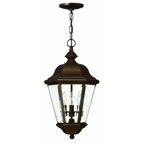 Bailey Street Home Brass Outdoor Lantern Fixture in Traditional Style 10.5 inches Wide by 19 inches High Traditional Outdoor Hanging 81-Bel-558845