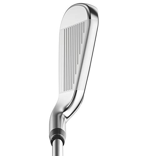 Callaway Big Bertha B21 Iron Set Silver