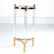 BSNANCA Acrylic Plant Stand for Living Room Balcony and Office Modern Stainless Steel Flower Pot Shelf for Indoor Plants Transparent Design Perfect for Hotels and Cafes