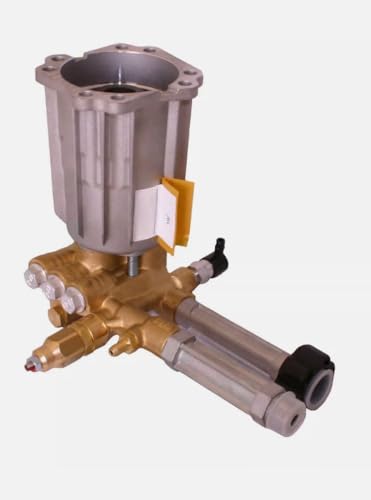 AYFDY Assembly Pump 206376GS Replacement for Briggs OEM, 697392