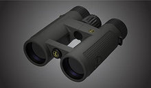 Leupold BX-4 Pro Guide HD Binoculars 10x42mm Shadow Gray