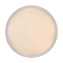 Golden Lighting 1700-30 Cameron 30" Wide LED Outdoor Pendant - Brushed Champagne Brass/Etched Glass
