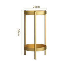 2 Tier Stand for Indoor Outdoor, Plant Stand Indoor Outdoor Metal Plant Rack Organizer Plant Rack,Display Shelf Racks for Home Garden Office